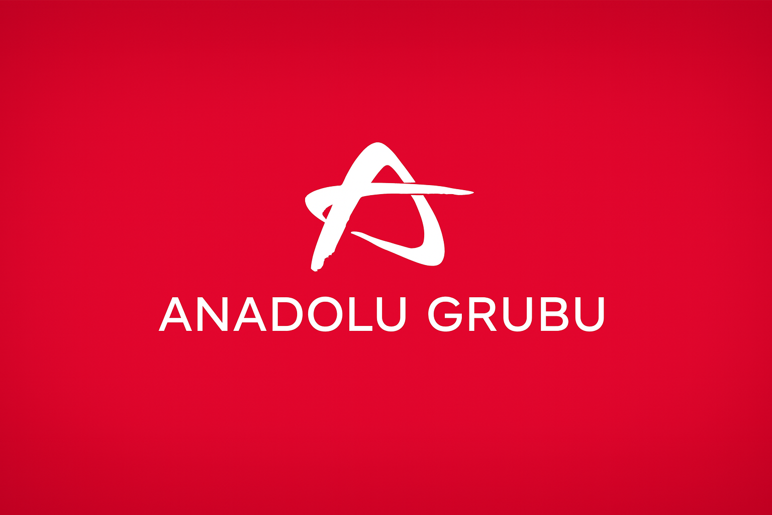 Anadolu Grubu Kimin