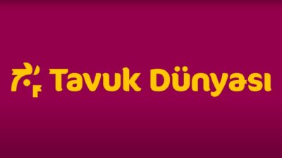 Tavuk Dünyası Kimin